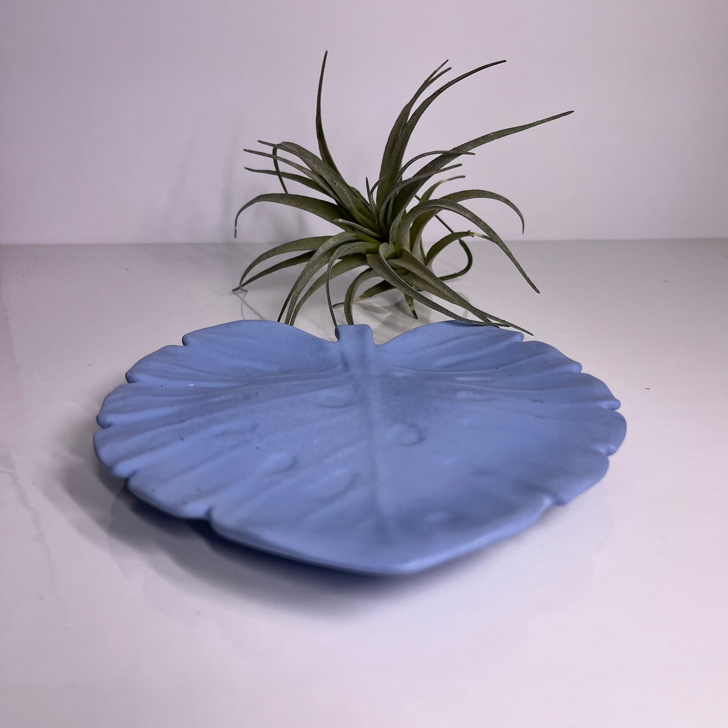 Concrete Monstera Leaf Tray