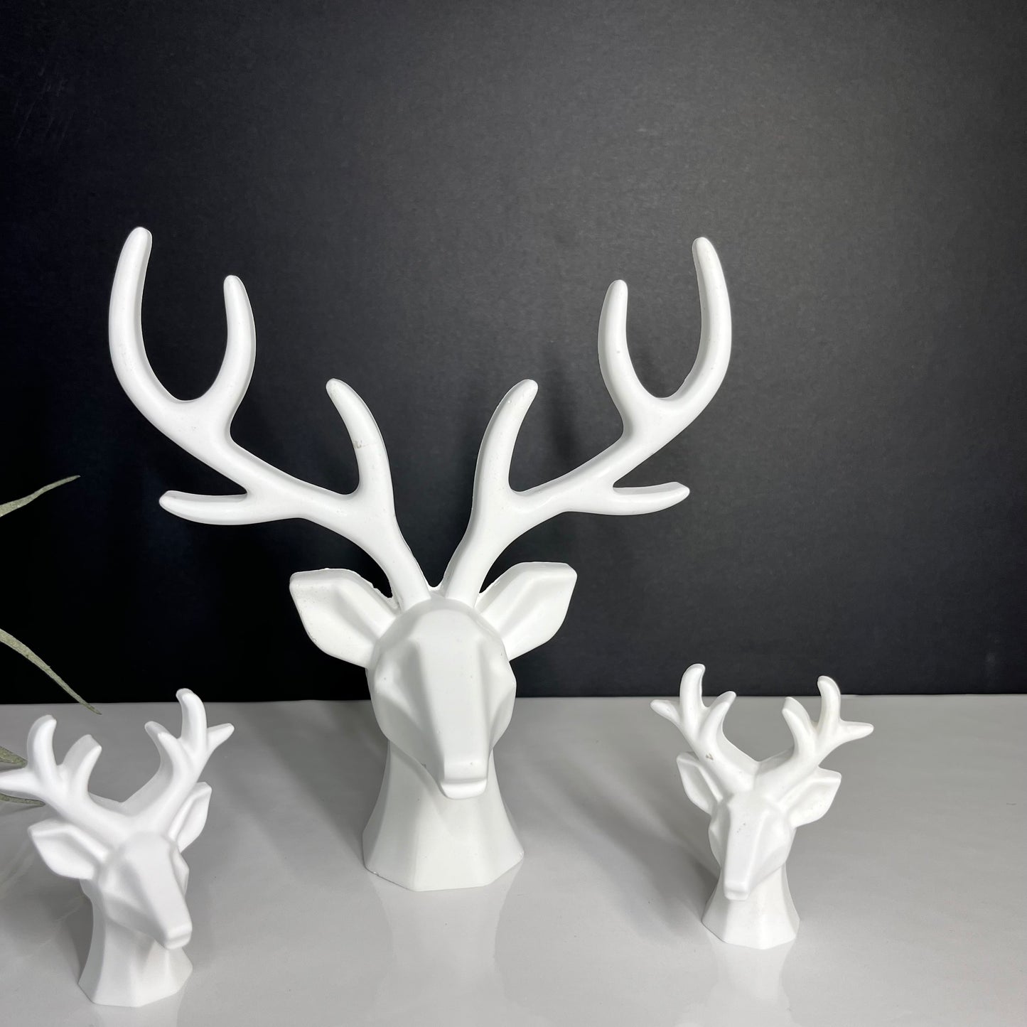 Concrete Deer Head Joyful Lotus