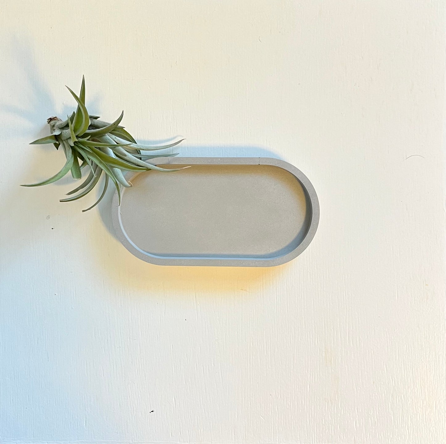 Concrete Oval Trays